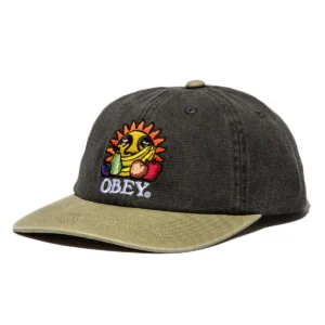 Obey snapback