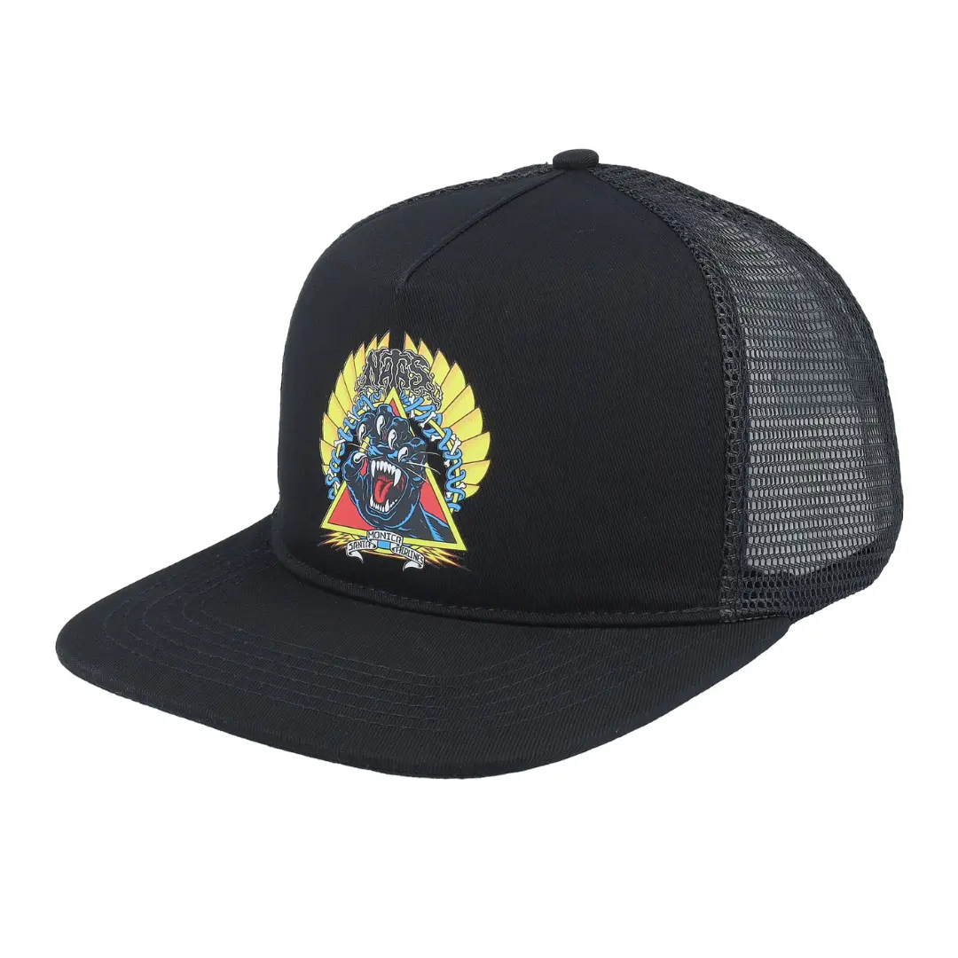 Santa Cruz snapback